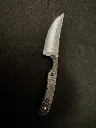 IMG_3488.webp